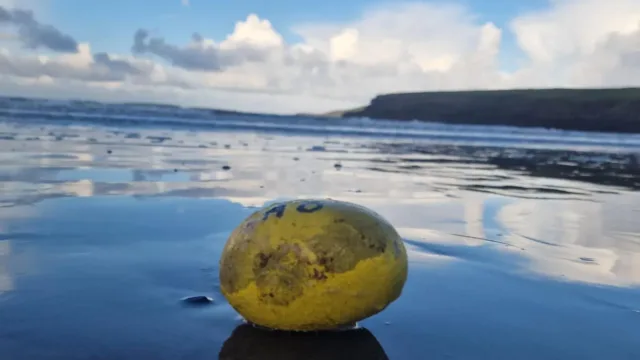 Yellow pebble on the beach