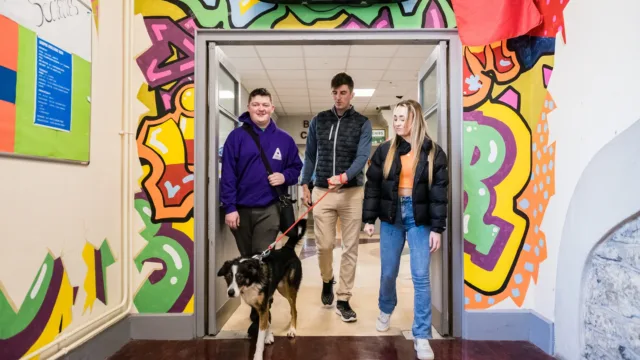 Students and dog walking down a colourful corridor