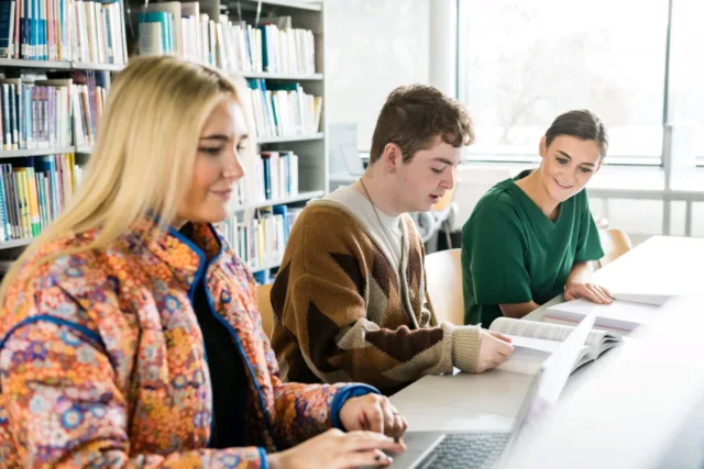 Group work in Library