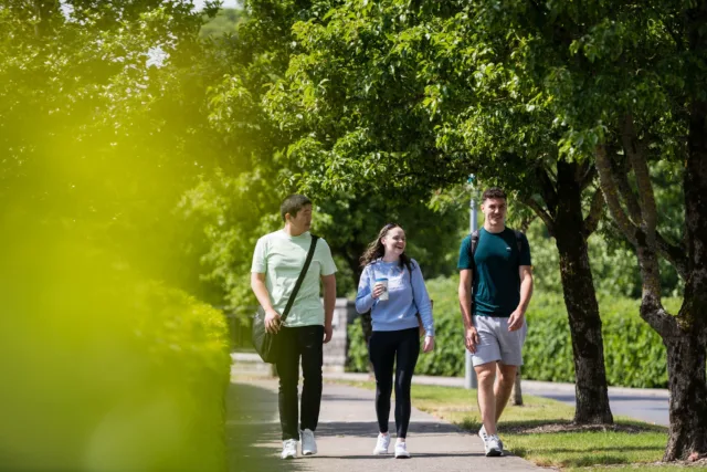 Three students, two boys and a girl, walking through the trees on a sunny day in the ATU Sligo campus