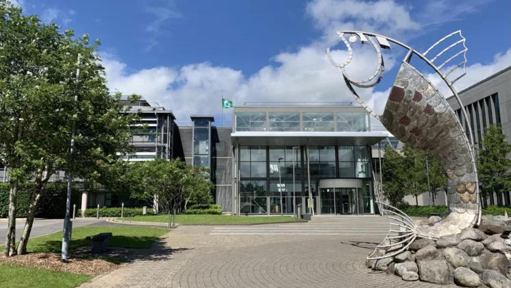 A fish sculpture located at the ATU Sligo campus, surrounded by campus buildings and greenery.