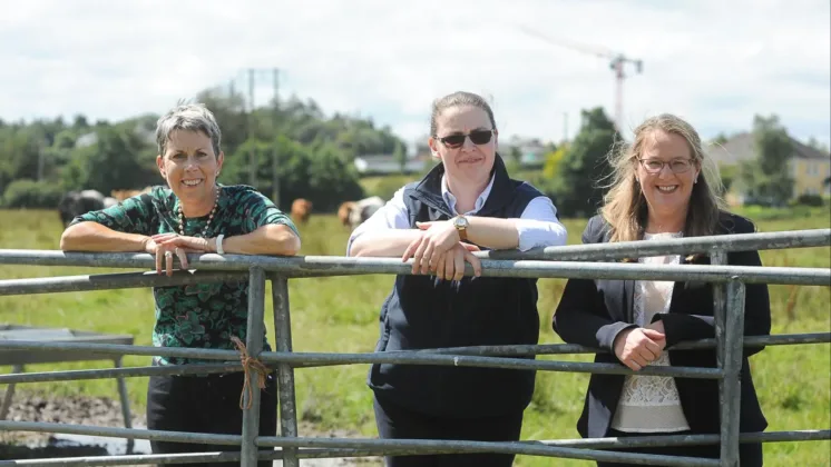 3 ATU staff post behind gate to promote Veterinary Medicine.