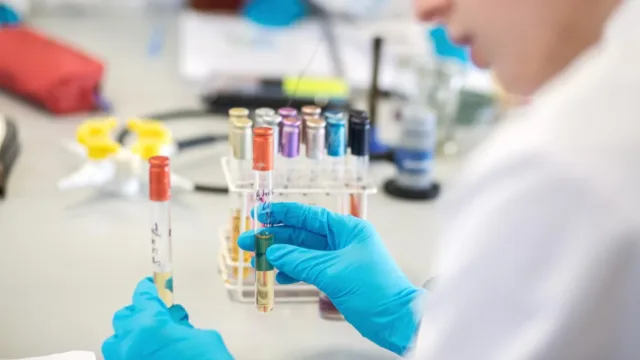 A person in blue gloves examines test tubes filled with liquid samples in a laboratory.