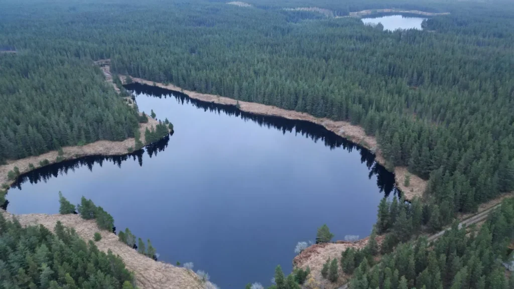 aerial view of northern part of Nephin Forest