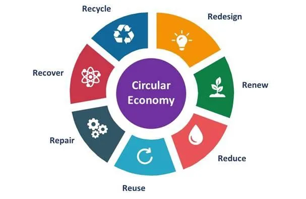 circular economy infographic