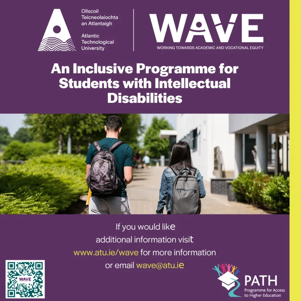 WAVE poster-inclusive programme for students with intellectual disabilities