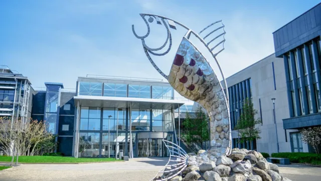 Statue of fish outside Sligo ATU campus