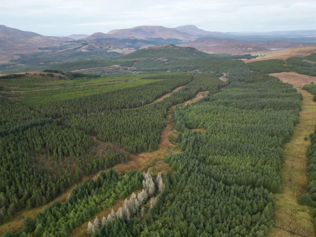 aerial view of the east part of nephin forest