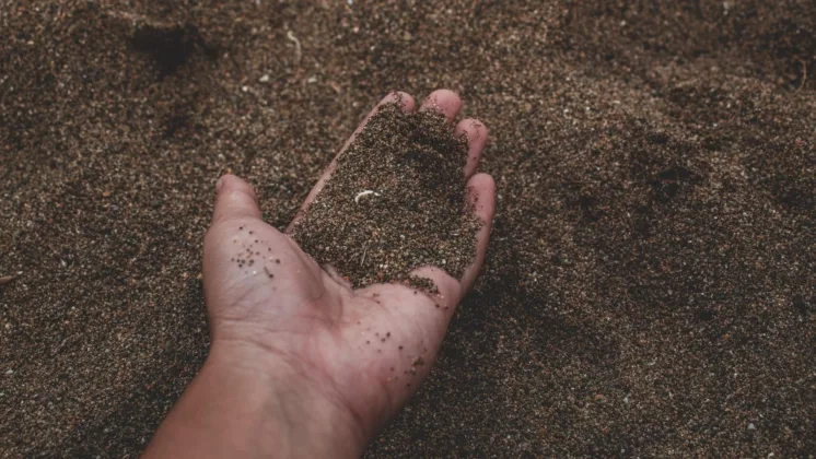 A hand scooping up soil