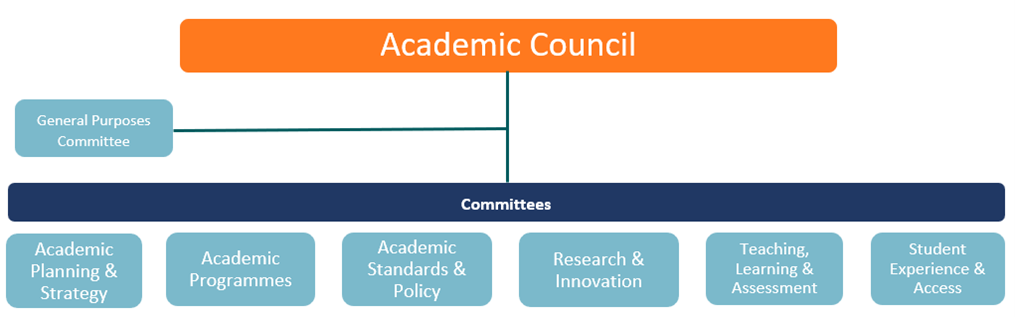  Academic Council has seven committees, namely: 1.	 General Purposes Committee 2.	Academic Planning and Strategy 3.	Academic Programmes 4.	Academic Standards & Policy 5.	Research & Innovation 6.	Teaching, Learning & Assessment 7.	Student Experience & Access