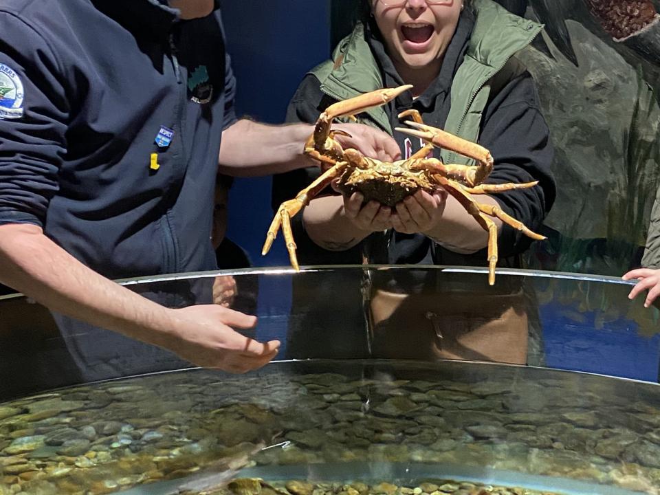 students with scorpion robot