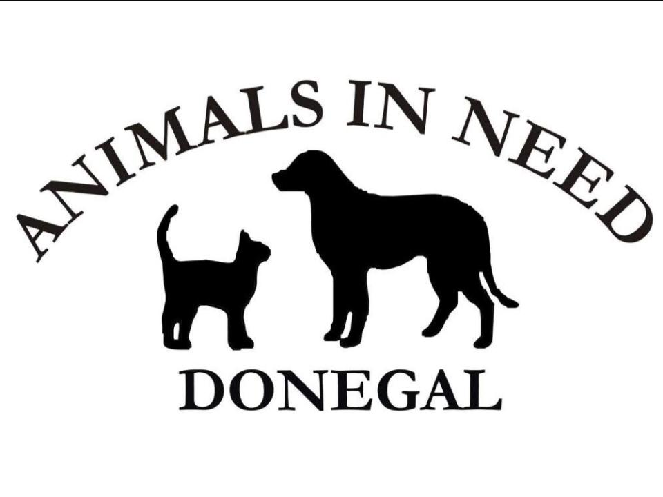 Animals in Need Donegal Logo