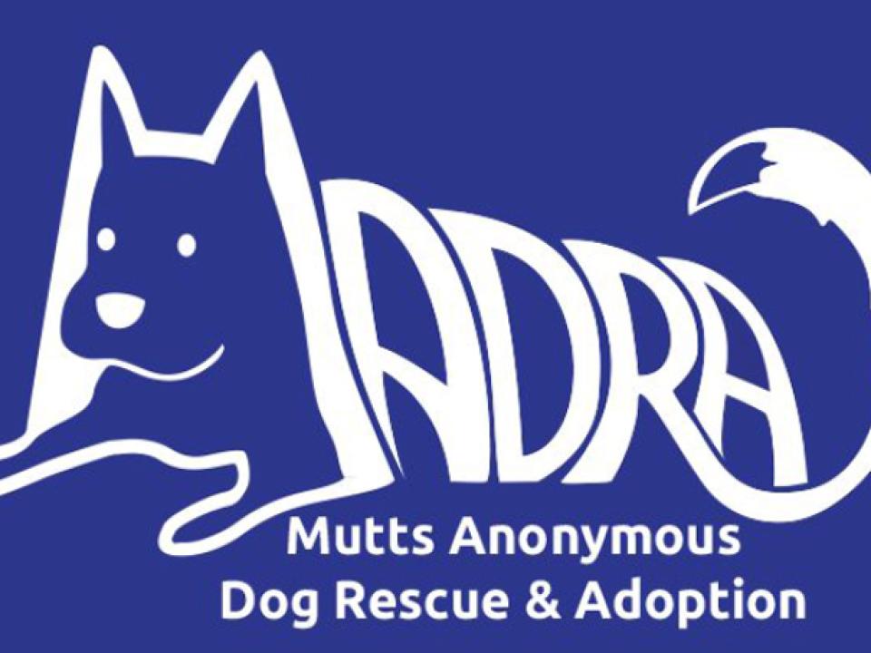 Madra Logo