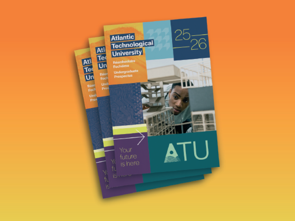 CAO Undergraduate Prospectus 2025 26 V2