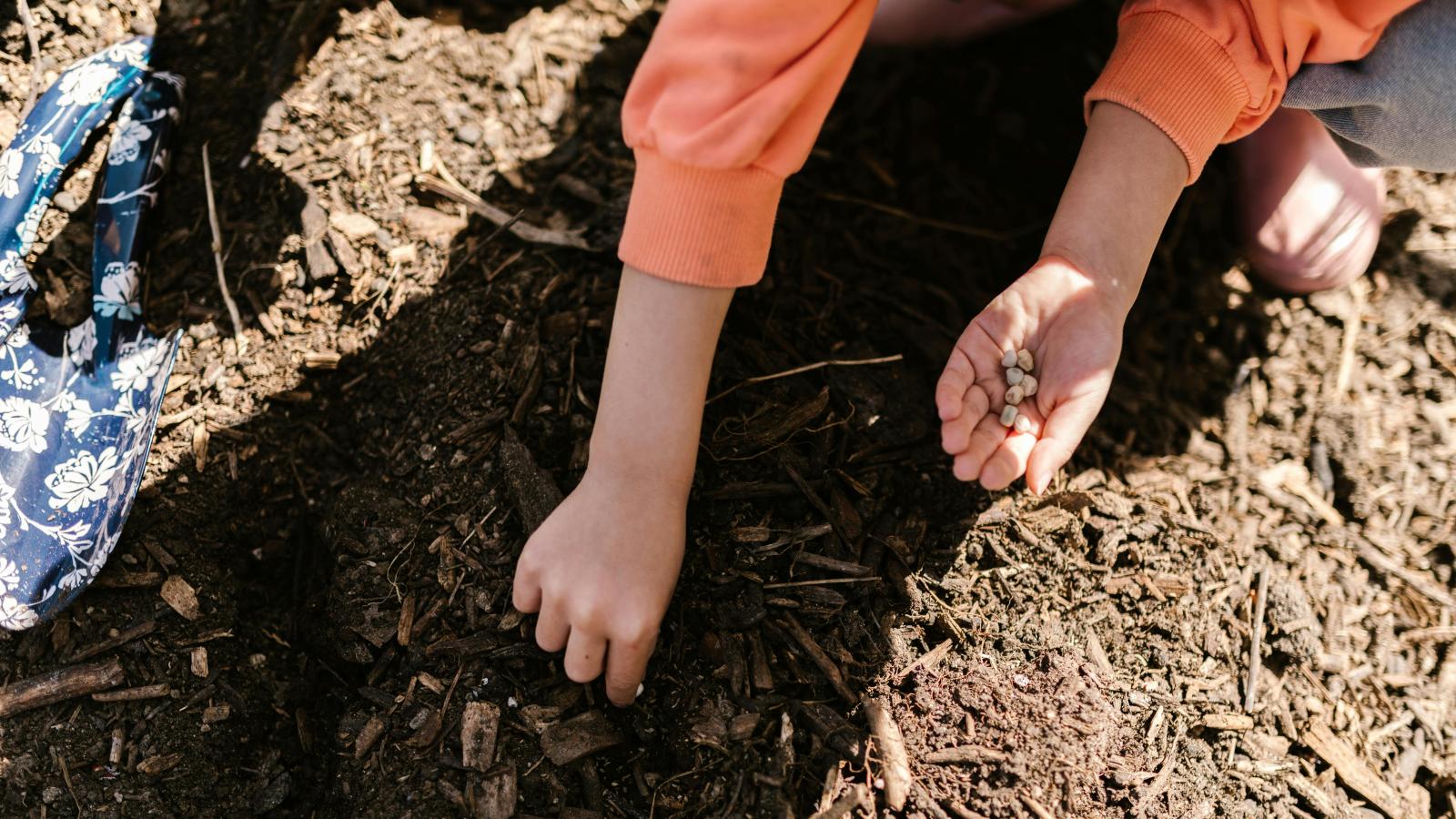 tree-planting.jpg