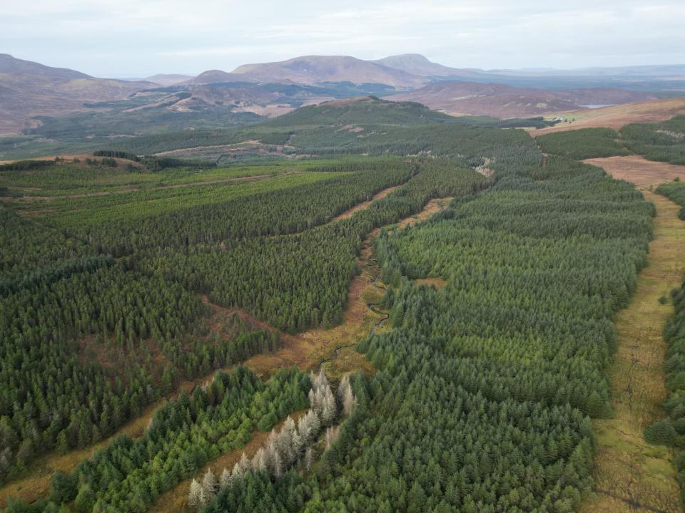 Aerial view of the east part of Nephin Forest.