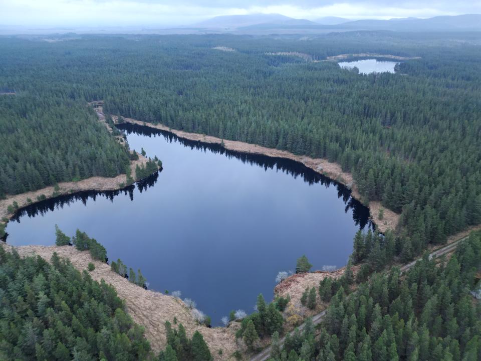 Aerial view of the northern part of Nephin Forest.